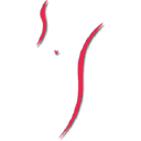Primajust