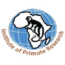 primateresearch.org