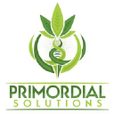 primordialsolutions.com