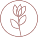 Primrose Postpartum