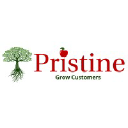 pristineinfotech.com