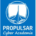 pro-pulsar.com