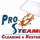 pro-steamer.com