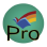 Pro Accountants logo