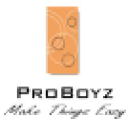 proboyz.com