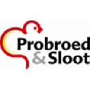 probroed.com