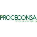 proceconsa.com