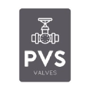 processvalvesolutions.co.uk
