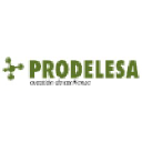 prodelesa.com