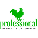 professional.com.ro