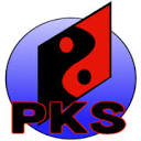 professionalkaratestudios.com