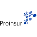 proinsur.com