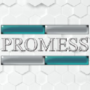 promessinc.com