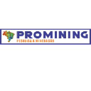 promining.com.br