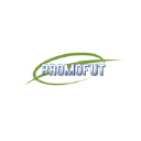 promofut.com.mx