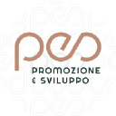 promozionesviluppo.com