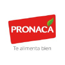 pronaca.com