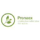 pronaex.com