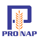 pronap.com.br