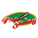 ProSwing Baseball