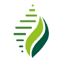 Provita Logo