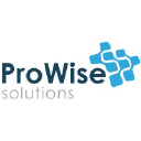 prowisesolutions.com