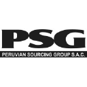 psgsac.com