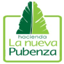 pubenza.com