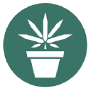 Public Flower - Buffalo Dispensary Logo