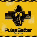 pulsesetter.com