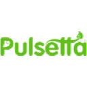 pulsetta.com