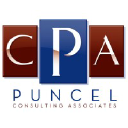 puncelconsulting.com