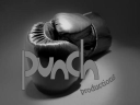 punch-productions.com