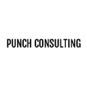 punchconsulting.co.uk