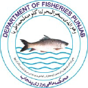punjabfisheries.gov.pk