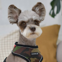 Logo for puppiaus.com