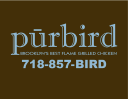 Purbird