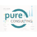 pure-consulting.com.cn