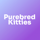 Purebred Kitties