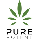 purepotent.com