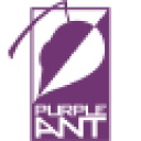 purpleant.com