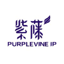 purplevineip.com