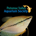 Potomac Valley Aquarium Society Inc