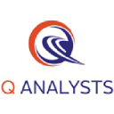 Q Analysts logo