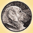 Company logo for qualityandcommitment.com