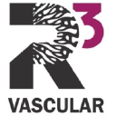 R3 Vascular Inc.