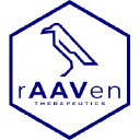 rAAVen Therapeutics