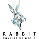 rabbitconsultinggroup.com