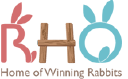 www.rabbithq.com.sg logo