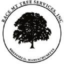 racemttree.com